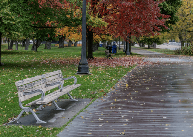 Parks and Recreation